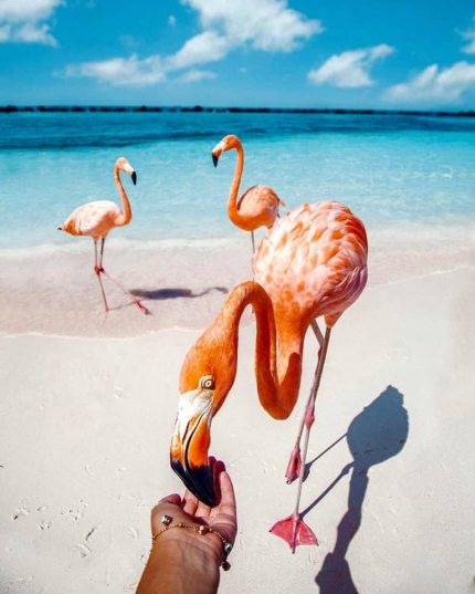 ?Самые красивые пляжи мира?