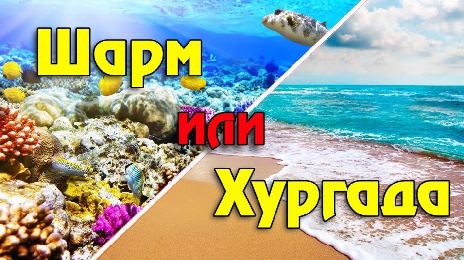 В Хургаду и Шарм-эль-Шейх пришло тепло