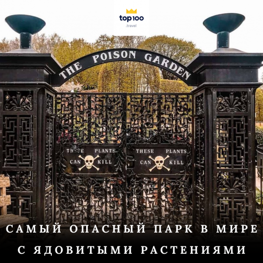 Самый опасный парк в мире – ядовитые растения сада Алнвик