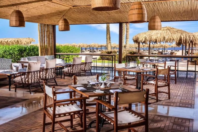 ⛱💙🌴💙 Sharm 2025! Egypt! "Steigenberger Alcazar" 5*! 💚 💚 💛💜