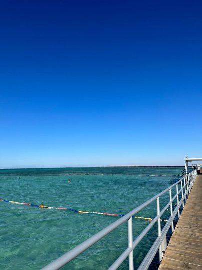 📌RIXOS PREMIUM SEAGATE 5*⭐️09.12❗️1400 €