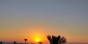 💋 Hurghada 💙 Egypt! 🐪 Приятные цены на ваш декабрь!!! Летим 07.12!