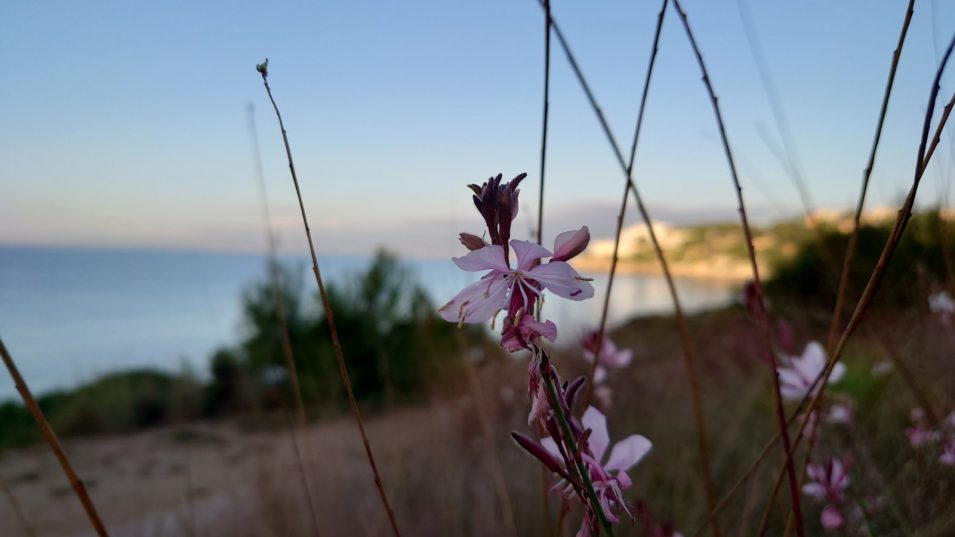 ЭКСКУРСИОННЫЕ ТУРЫ С МОРСКИМ РЕЛАКСОМ
