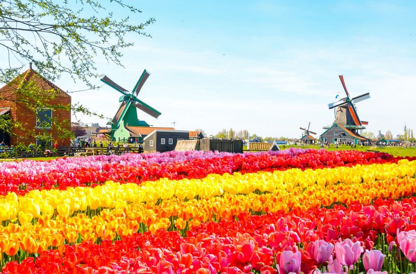 Экскурсионный Тур «Огни БеНи Люкса» или «Тюльпаны, Бриллианты и .....Селёдка»