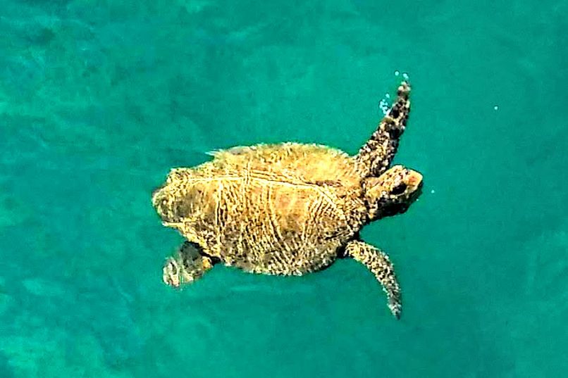 ❤Гранд тур по Греции с отдыхом на острове Закинтос (11 дней)❤