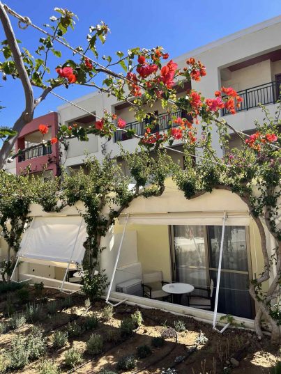 🌴🍾 Creta 2025! Отличный вариант отдыха для любителей вкусной кухни и красивых мест курорта Ханья! 💜