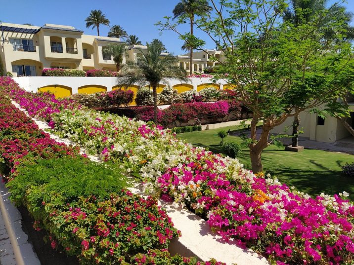 😍😍 👄💙💚 Egypt! Sharm! Grand Oasis Resort 4*+!💛💜