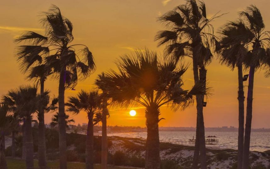 🇹🇳 Tunisia 2025! Hilton Skanes Monastir Beach Resort 5⭐