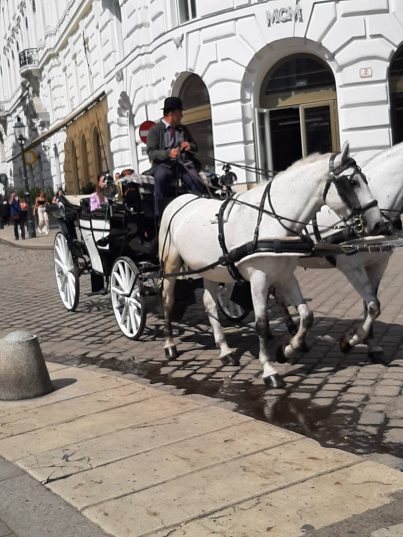 ВЕНСКИЙ ВАЛЬС НА 8 МАРТА!