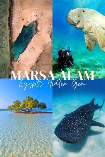 🌵Marsa Alam - Egipt ! Zbor 08.04.2025 de la 487 euro / pers
