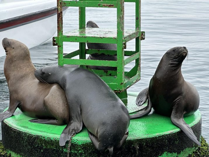 Групповой тур в Перу- 15 дней 📆 Даты: 27 сентября – 11 октября 💵 Цена: 2590€