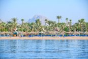 🌴 Отпуск в Шарм-эль-Шейх 🌴  🏖 Jaz Sharm Dreams 5*