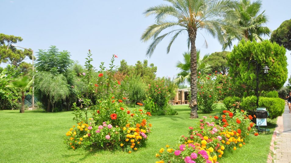 😍ZENA RESORT HOTEL от 485€/чел ✈️вылет 19.05