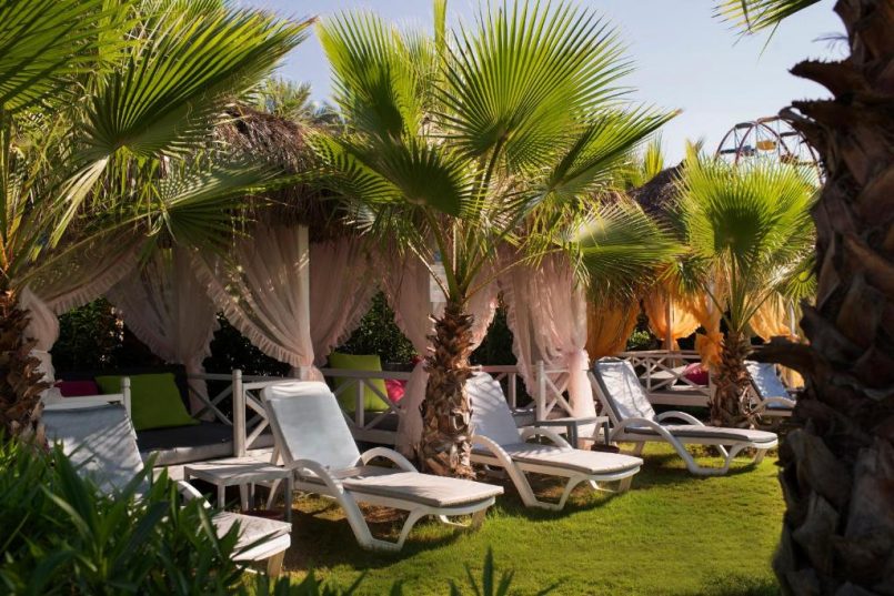 ❤️🔥Delphin Diva Premiere – Unde vacanța devine artă❤️🔥