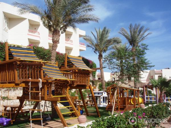 💫 🌟Четыре Звезды, Которые Осветят Ваш Отпуск 🌟 💫 отель DOUBLE TREE BY HILTON SHARKS BAY BEACH SIDE 4* 💫ЕГИПЕТ   1-я линия от моря🌴 🌴✈️ летим  26.04.2025