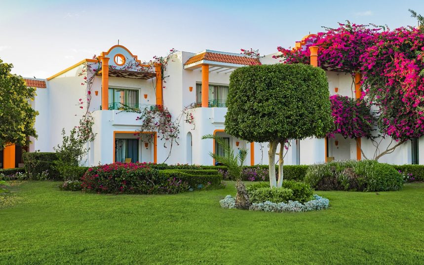 🌵Marsa Alam - Egipt ! ✈ Zbor Direct 29.04.25 de la 660 euro/ pers.