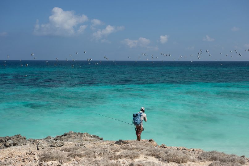 GT-сафари на остров Сокотра ДАТА: под запрос 💰 СТОИМОСТЬ: 3900€