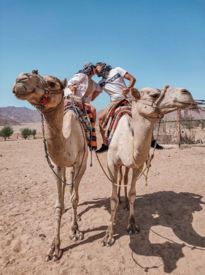 🌞🏝️✈️Egypt! Sharm! Hoteluri 5★☀️ Vara începe aici!👙🥰❤️