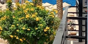 💙 Egypt! Hurghada! 💋 Ласковый сентябрь ждёт! С 10.09! 💙