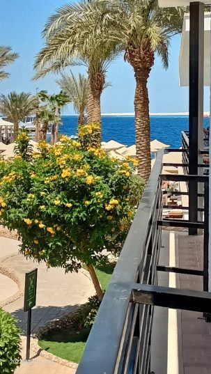 💙 Egypt! Hurghada! 💋 Ласковый сентябрь ждёт! С 10.09! 💙