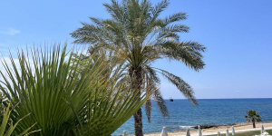 🍓 Cyprus!🌟 Не пропусти новую страну своего отдыха!🌟 Летим 24.05!🍓