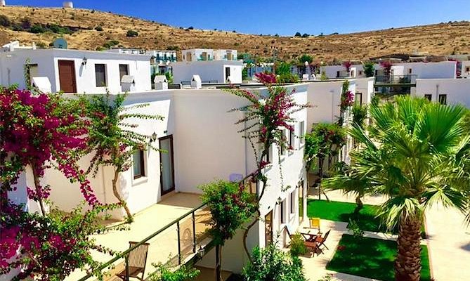 🔥LAST MINUTE 🔥