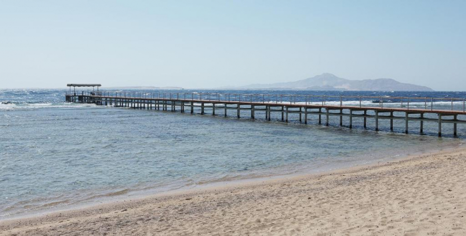 🌴🌴Зеленый отель на 1 ой линии 🌴🌴🌟 Sharm Grand Plaza 5*🏖️🐠1-я линия от моря 🌴Набк Бей Шарм-эш-Шейх ✈️ летим   13.05.2025